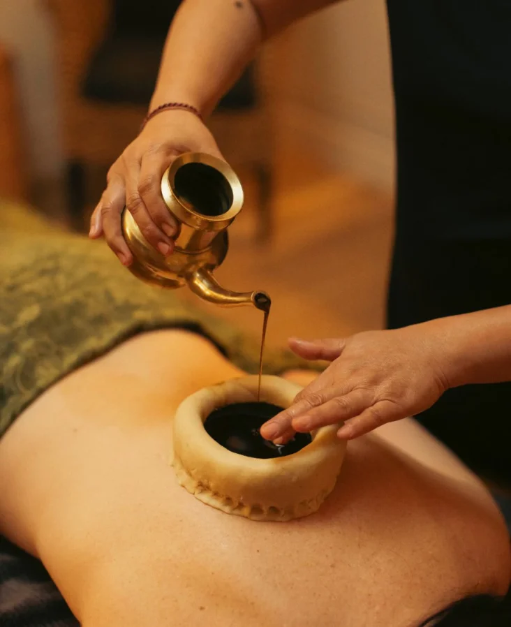 Gut & joint healing (Vata balance)