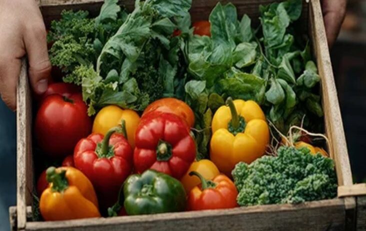 Sinus, headaches, brain health