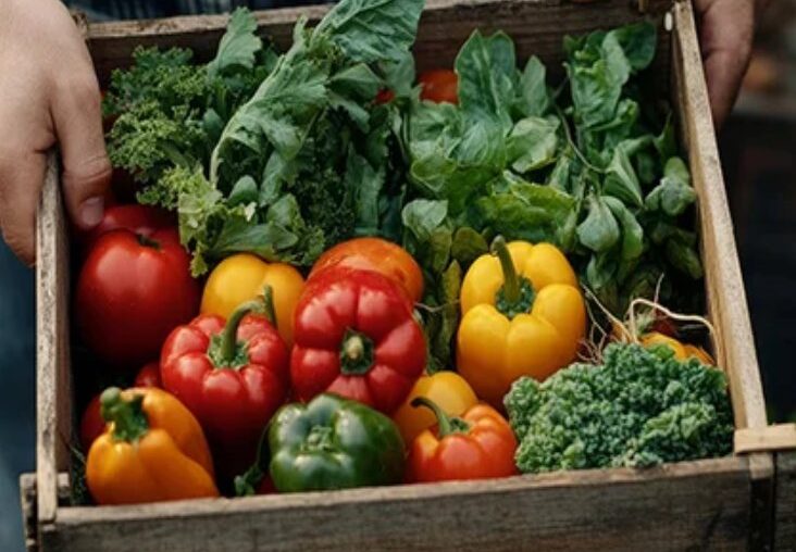 Sinus, headaches, brain health